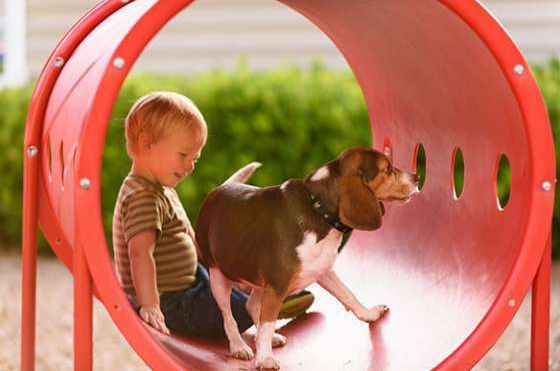 Dog with kid image grid 183d17ce614a305ef7e14498bef98c4b