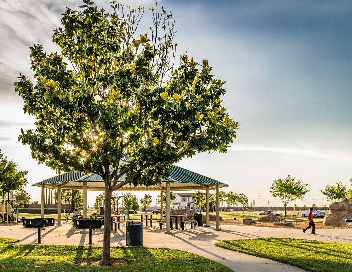 Park amenities possible page image 183d17ce614a305ef7e14498bef98c4b 2